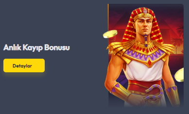 Kasino Kayıp Bonusu